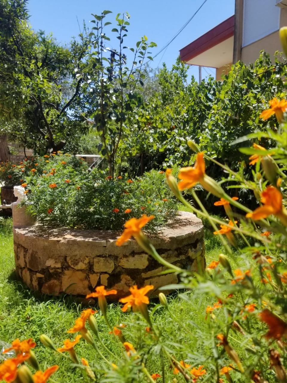 Pensjonat Vila,Apartaments Luani *